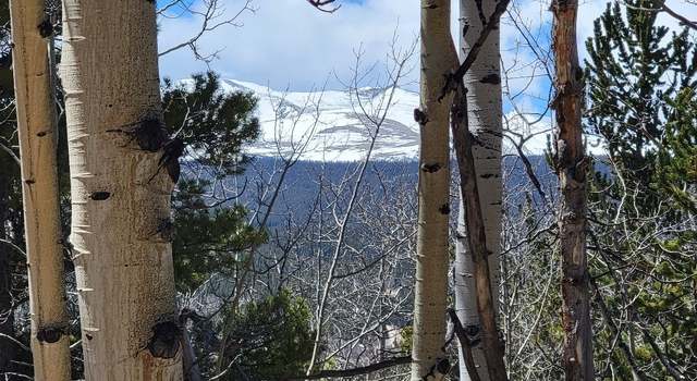 Photo of 667 Ponderosa Rd, Alma, CO 80420