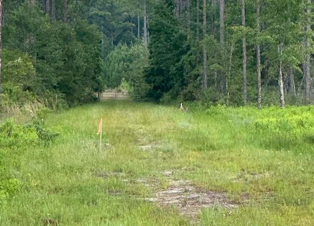 Property at 6136 Us Highway 301, Bryceville, FL 32009