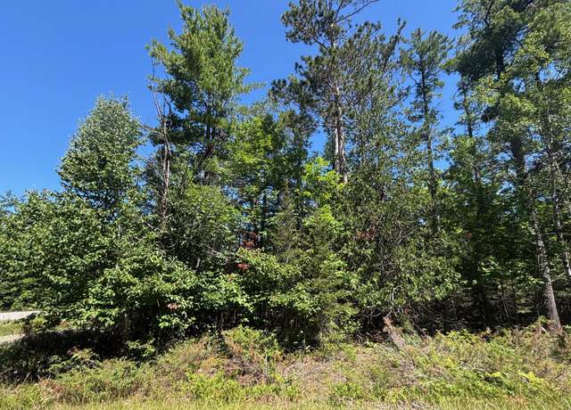 Property at NHN Norwood Ct, Presque Isle, MI 49777