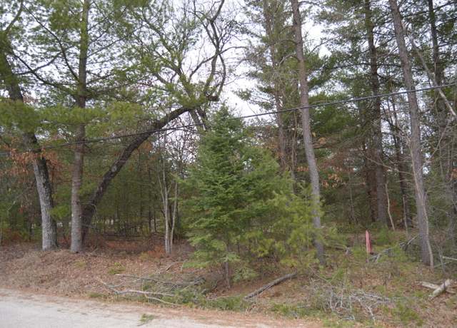 Property at Lot #28 E Arthur Randall St, Mio, MI 48647