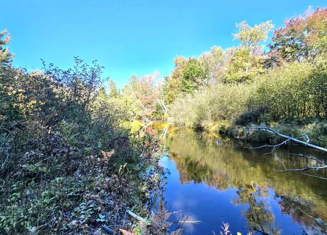 Property at Lot 12 N Betsy River Rd, Paradise, MI 49768