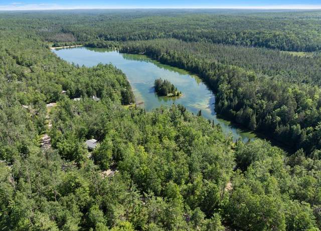 Property at 14703 Shore Line Dr, Wolverine, MI 49799