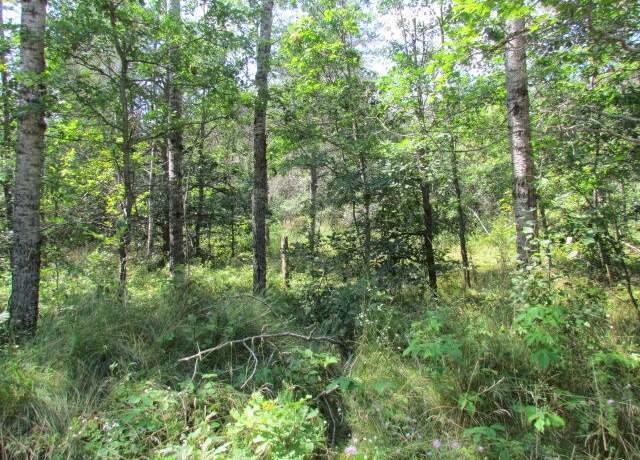 Property at Lot 82 Wintergreen Ct, Lewiston, MI 49756
