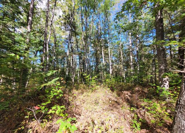 Property at Acorn Ridge Hwy, Ocqueoc, MI 49759