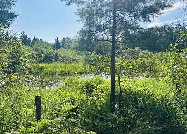 Property at Lot 39 Ausable River Trl, Roscommon, MI 48653