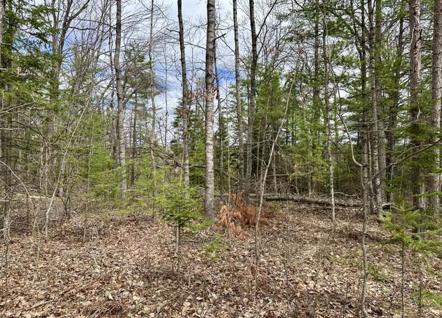 Property at 4409 Big Sky Trl Lot 17, Indian River, MI 49749