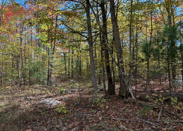 Property at 16441 Misiak Hwy, Presque Isle, MI 49777