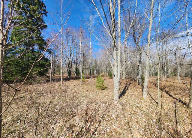 Property at Lot 1829 Sandpiper Trl, Gaylord, MI 49735