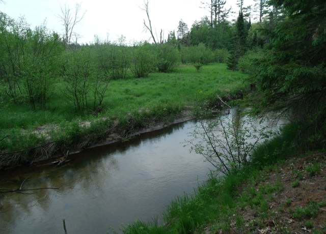 Property at Spikehorn Trl, Indian River, MI 49749