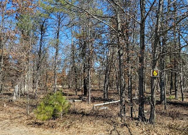 Property at 6 Lumberjack Ct, Grayling, MI 49738