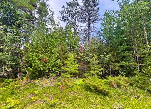 Property at V/L Suanqua Dr, Presque Isle, MI 49777