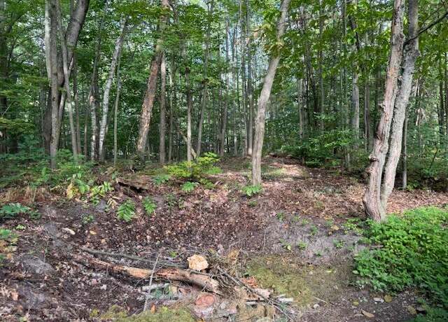 Property at #3 S Perch Lake Dr, Gaylord, MI 49735