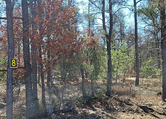 Property at 8 Lumberjack Ct, Grayling, MI 49738