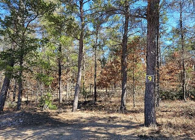 Property at 9 Lumberjack Ct, Grayling, MI 49738