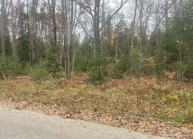 Property at E Shadow Lake Rd, Prudenville, MI 48651