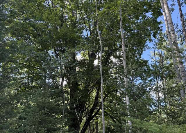 Property at 50 acres Herron Rd, Alpena, MI 49707