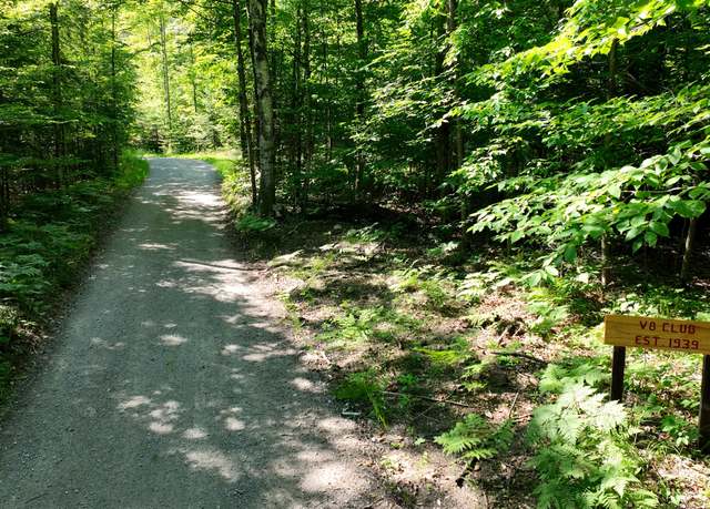 Property at 1377-Acres V8 Dr, Atlanta, MI 49709