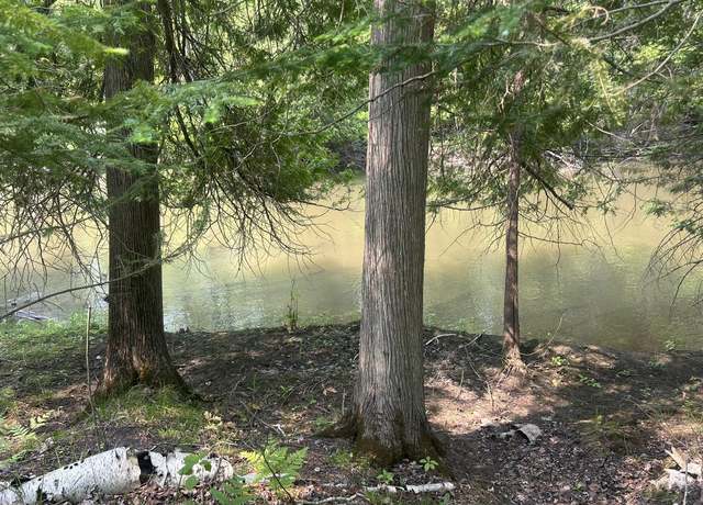 Property at 24920 E Riverside Dr, Hillman, MI 49746