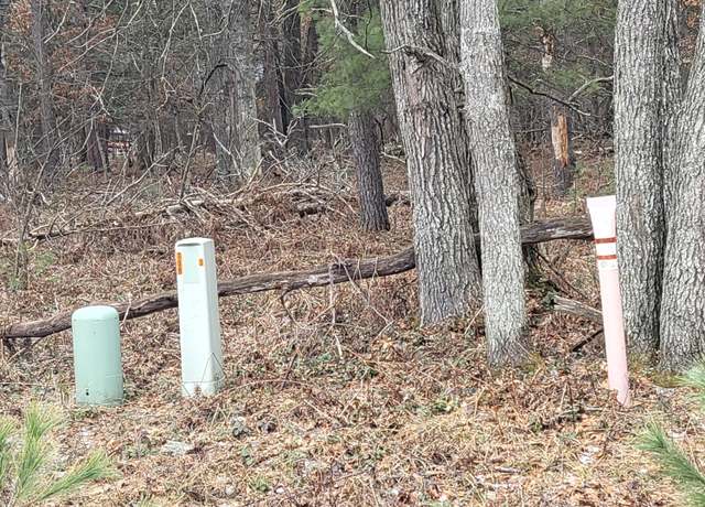 Property at Lot 30 Norseman Dr, Grayling, MI 49738