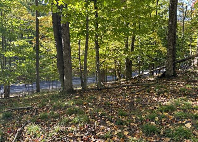 Property at 115 Doe Path Pl, Gaylord, MI 49735