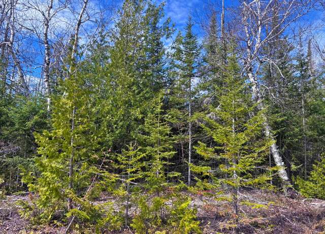 Property at Lot 1 E Grand Lake Rd, Presque Isle, MI 49777
