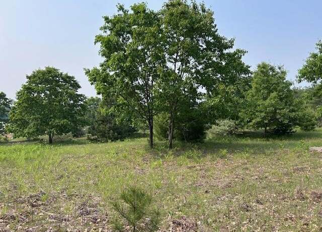 Property at Thiem Rd, Herron, MI 49744