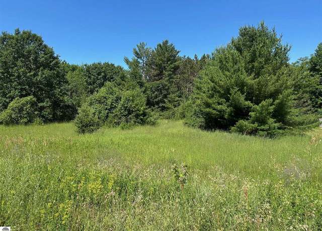 Property at 00 NE Lake Dr, Kalkaska, MI 49646