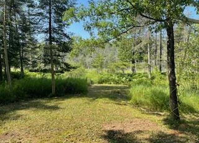 Property at V/L Blue Springs Trl, Falmouth, MI 49632