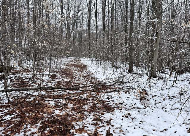 Property at 8751 Nighthawk Trl, Gaylord, MI 49735