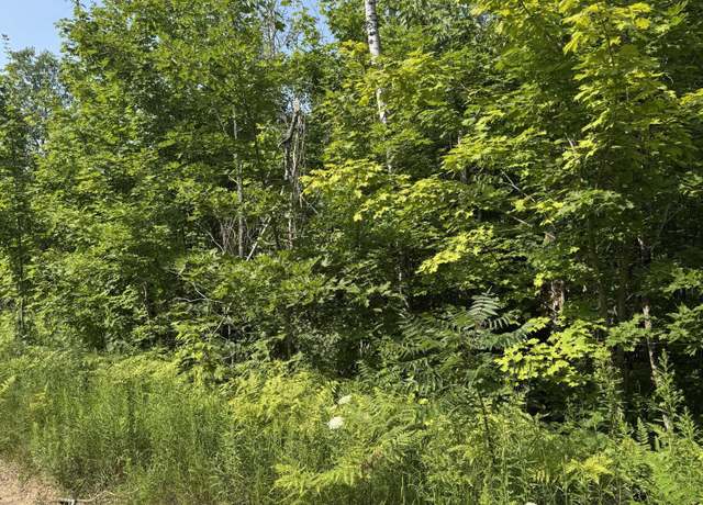 Property at Lot 387 Greenway Dr, Frederic, MI 49733