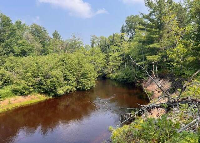 Property at V/L N Wines Rd, Paradise, MI 49768