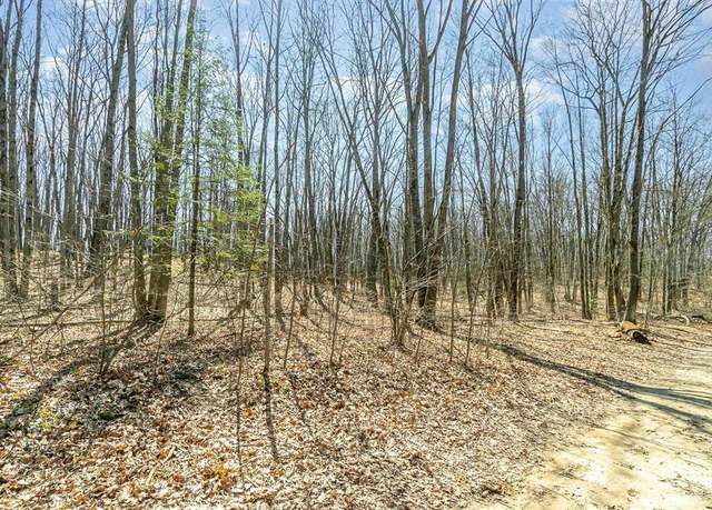 Property at Nancy Ann Dr, Gladwin, MI 48624