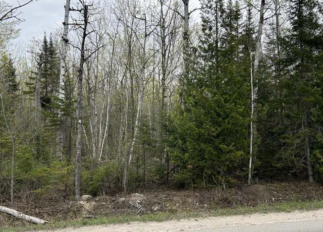 Property at 13496 N Mackinaw Hwy, Mackinaw City, MI 49701