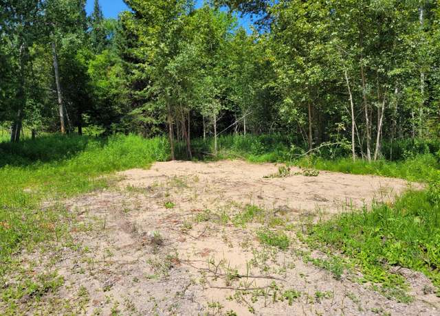 Property at 13502 S Straits Hwy, Wolverine, MI 49799