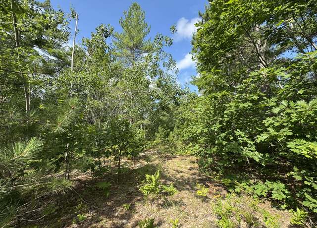 Property at 10320 Upper Mograin Rd, Cheboygan, MI 49721