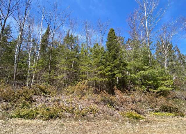 Property at Lot 254 Pineview Dr, Presque Isle, MI 49777