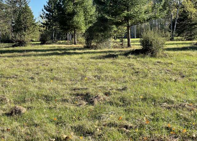 Property at Unit #4 E Sucker Creek Rd, Spruce, MI 48762