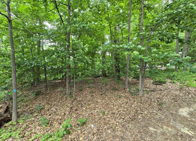 Property at 10 & 11 Goldfinch St, Gaylord, MI 49735