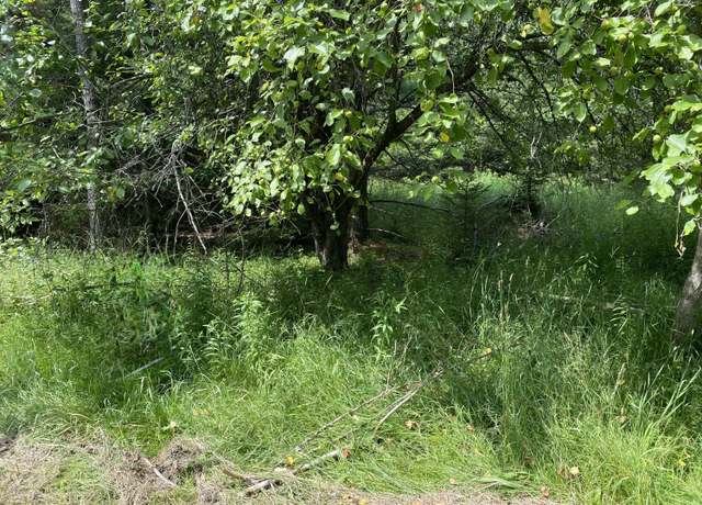 Property at V/L Walsh Rd, Cheboygan, MI 49721