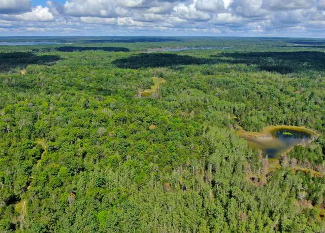 Property at 320 Acres Stickfort Rd, Lewiston, MI 49756