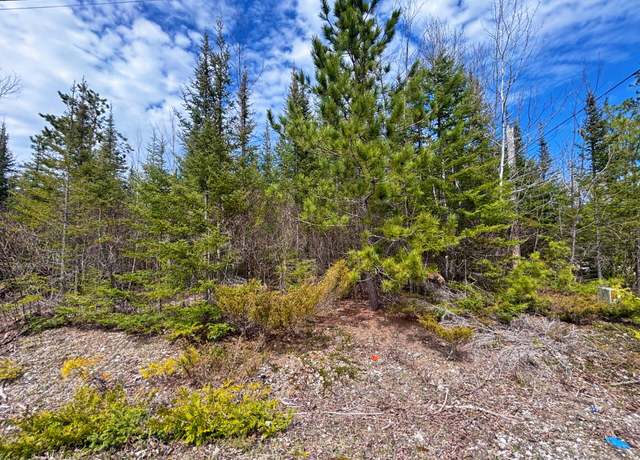 Property at Lot 116 W Norwood Ct, Presque Isle, MI 49777