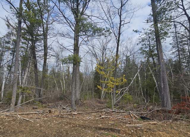 Property at Lake Winyah Rd, Alpena, MI 49707