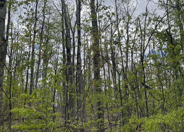 Property at 990-994 Arawak Pass, Gaylord, MI 49735