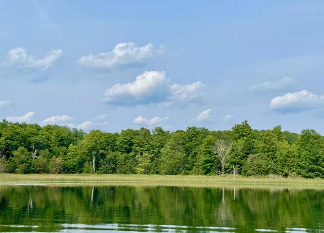 Property at 803 Guenther Rdg, Gaylord, MI 49735