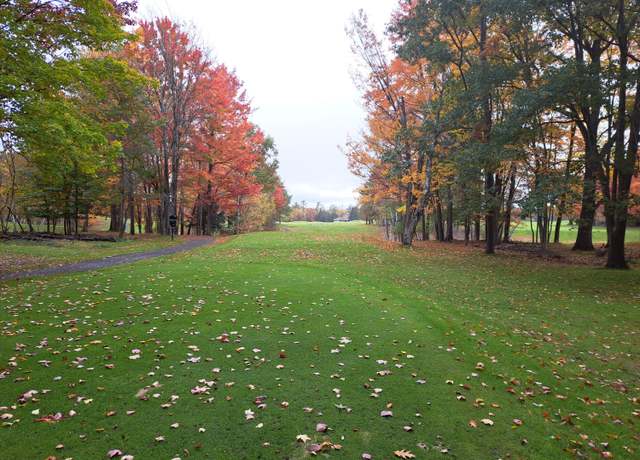 Property at 0 Northstar Rd Unit Parcels B & C, Gaylord, MI 49735