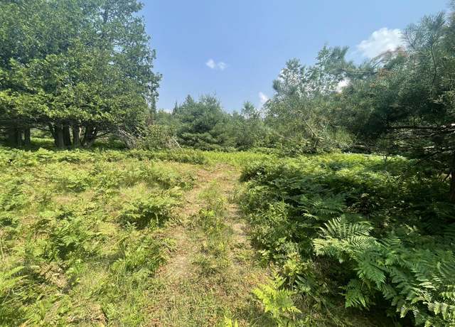 Property at V/L Reams Rd, Indian River, MI 49749