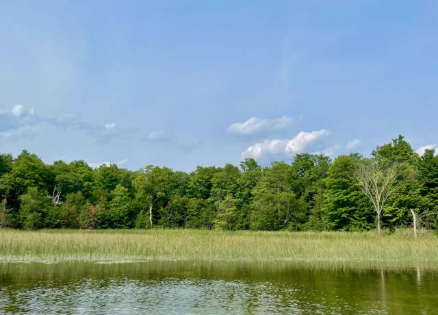 Property at 403 Guenther Rdg, Gaylord, MI 49735