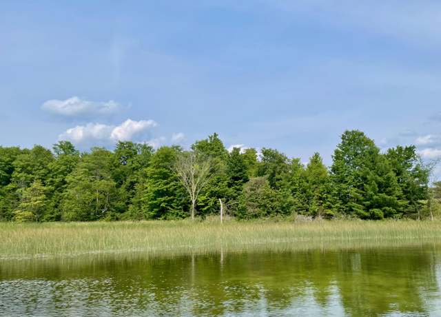 Property at 805 Guenther Rdg, Gaylord, MI 49735