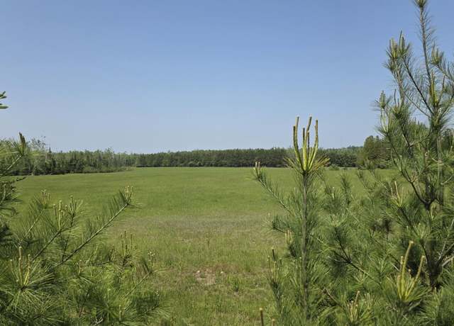 Property at 8415 Schultz Rd, Rogers City, MI 49779
