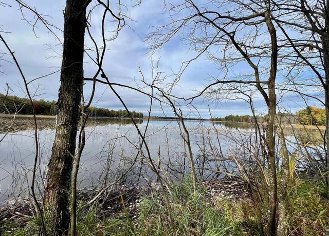 Property at Big Wolf Lake Rd Unit Parcel A, Lewiston, MI 49756